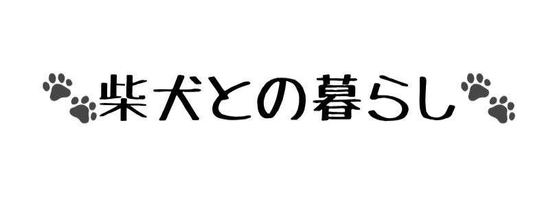 柴犬との暮らし